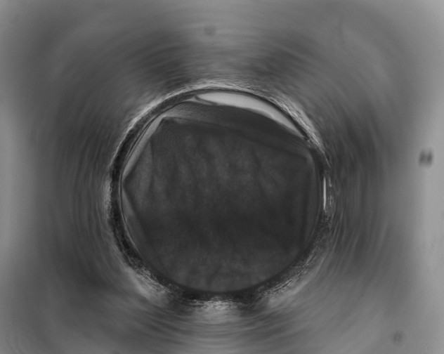 X0000098010204200804251122