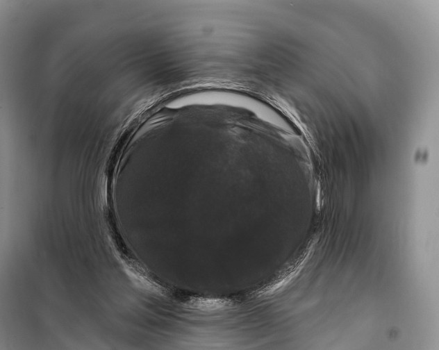 X0000098010205200804251122