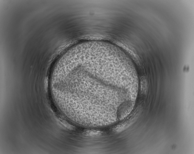 X0000098010206200804251122