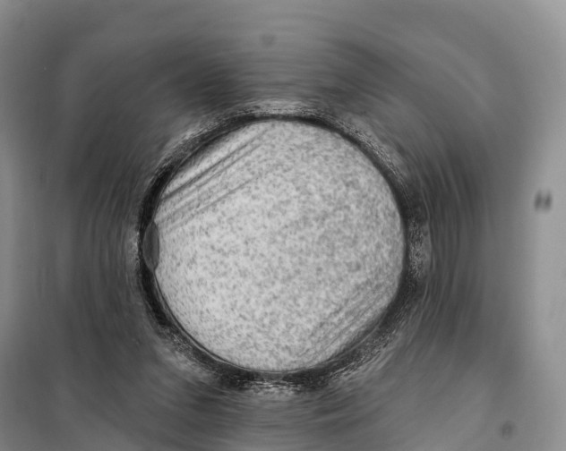 X0000098010207200804251122