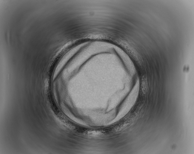 X0000098010208200804251122