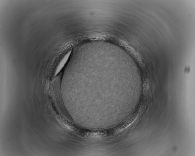 X0000098010209200804251122