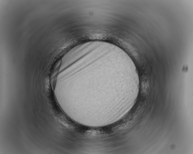 X0000098010211200804251122