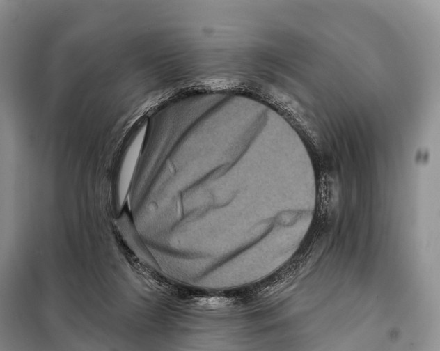 X0000098010212200804251122