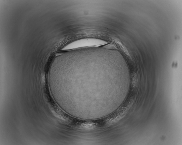 X0000098010213200804251122