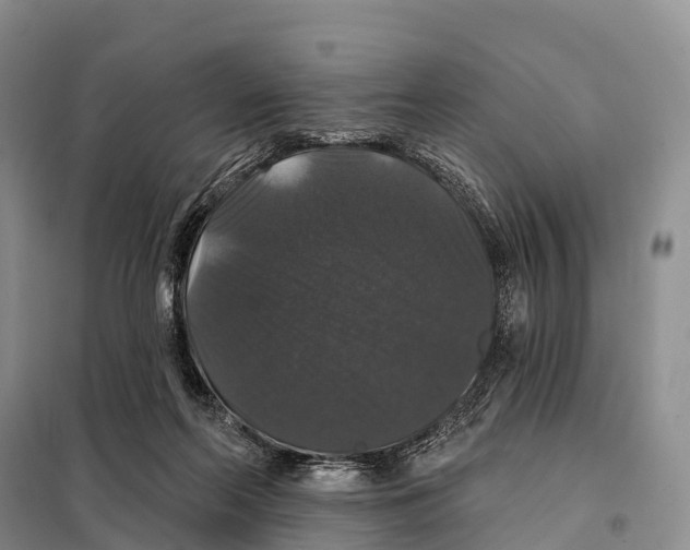 X0000098010214200804251122