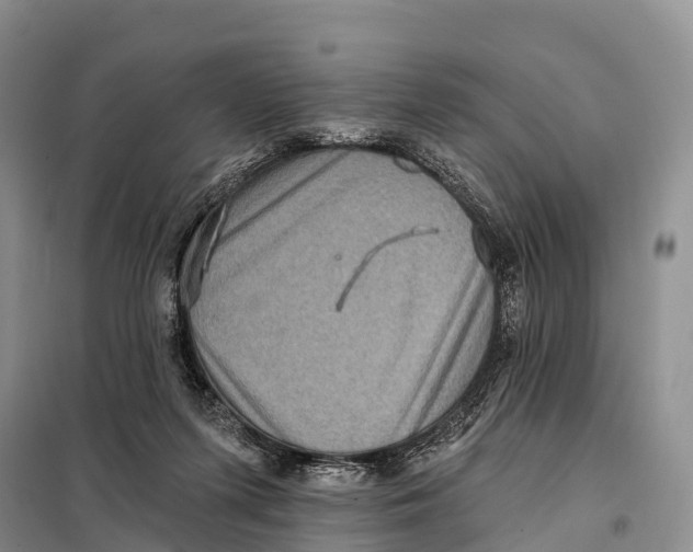 X0000098010215200804251122