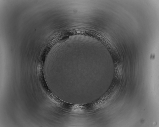 X0000098010222200804251122