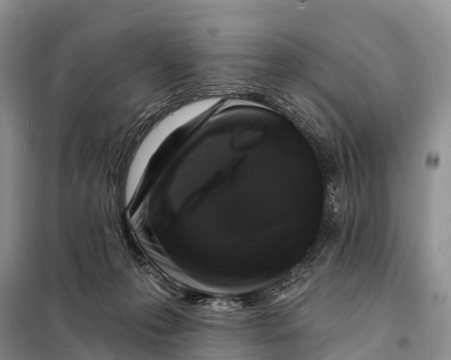 X0000098010223200804251122