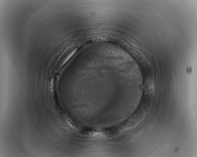 X0000098010224200804251122