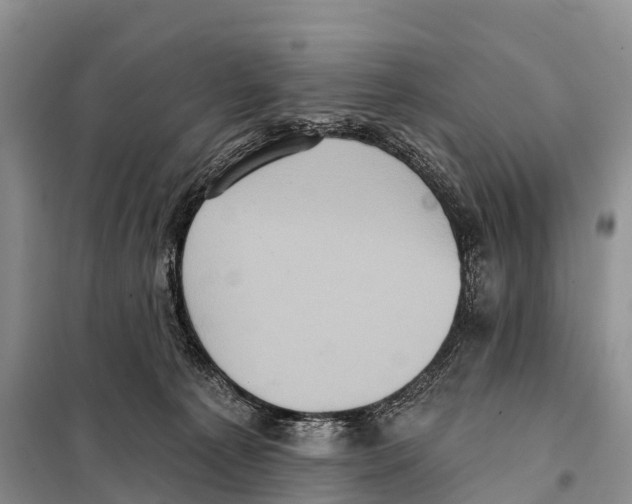 X0000098010225200804251122