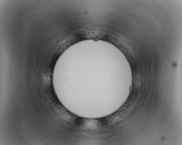 X0000098010226200804251121