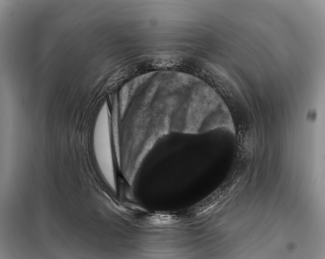 X0000098010227200804251121