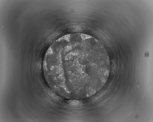 X0000098010230200804251121