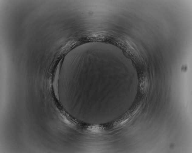 X0000098010231200804251121