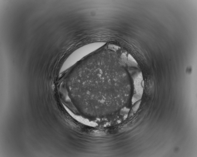 X0000098010232200804251121
