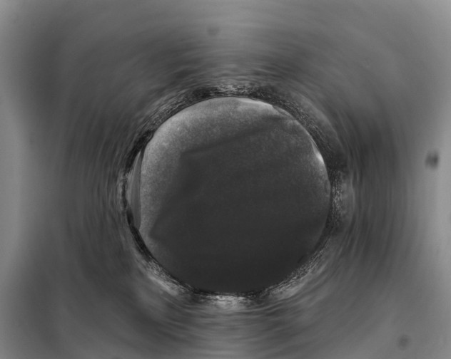 X0000098010233200804251121