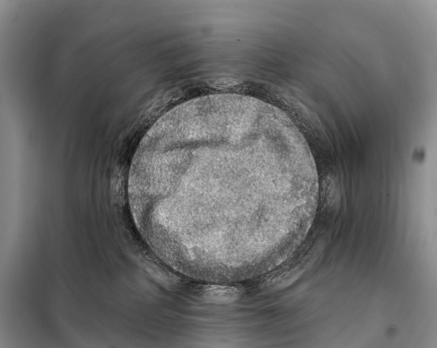 X0000098010234200804251121