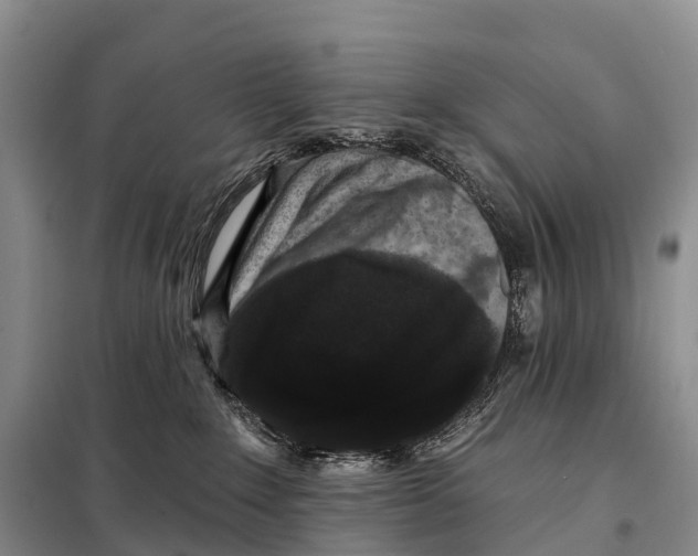 X0000098010235200804251121