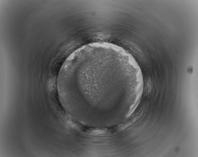 X0000098010236200804251121