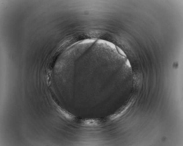 X0000098010237200804251121