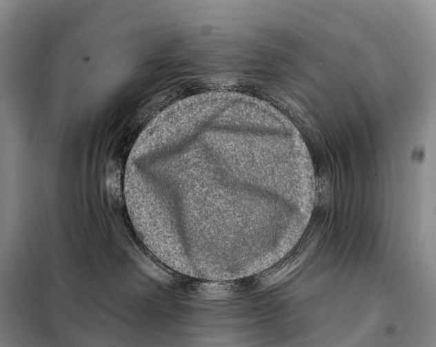 X0000098010238200804251121