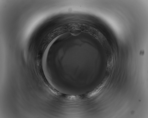 X0000098010239200804251121