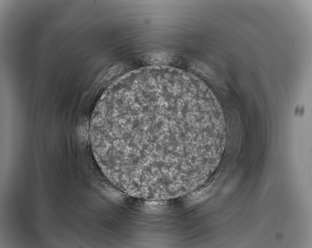 X0000098010240200804251121
