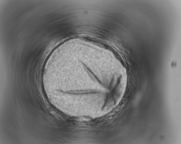 X0000098010241200804251121