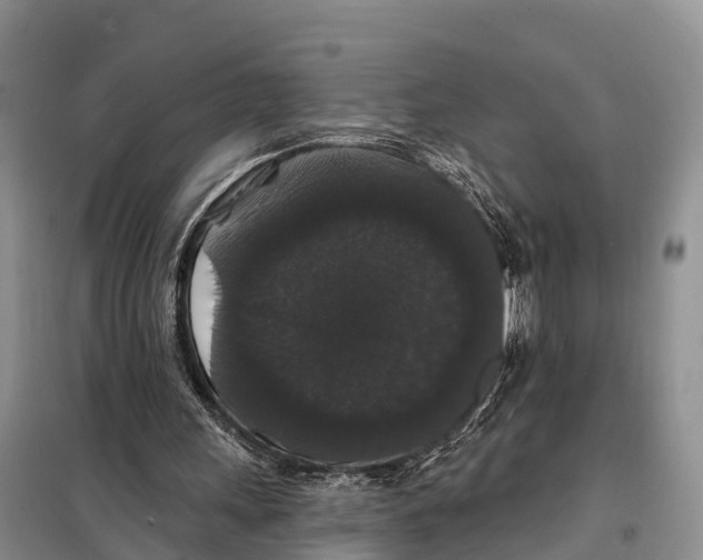 X0000098010243200804251121