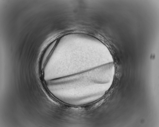 X0000098010245200804251121