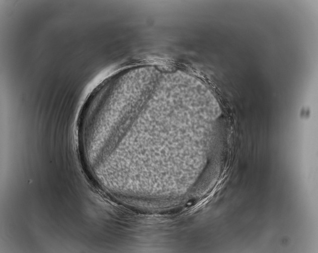 X0000098010246200804251121