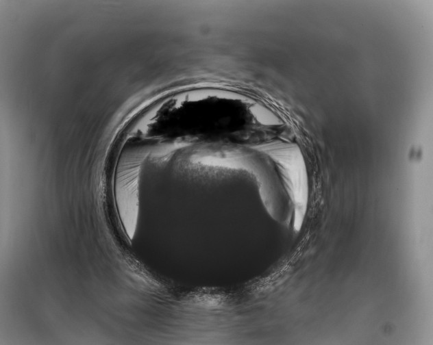 X0000098010247200804251121