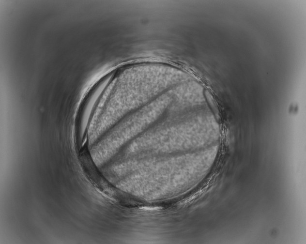 X0000098010248200804251121