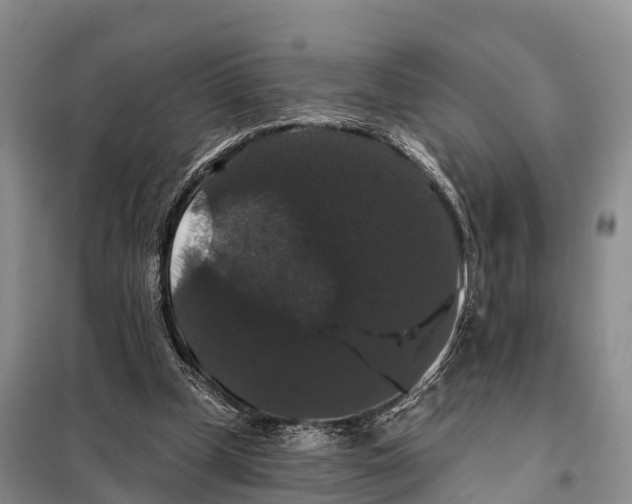 X0000098010249200804251121
