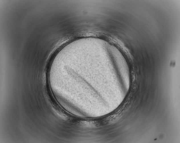 X0000098010250200804251121