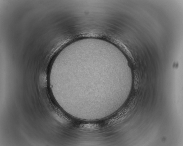 X0000098010251200804251121