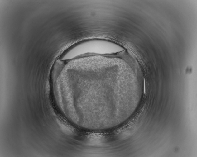 X0000098010252200804251121