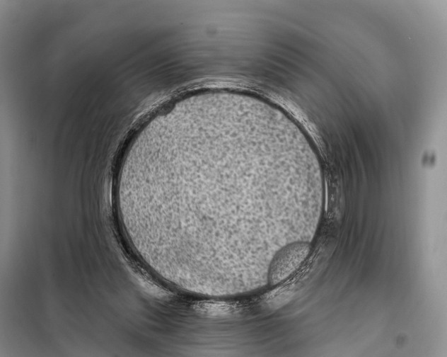 X0000098010253200804251121