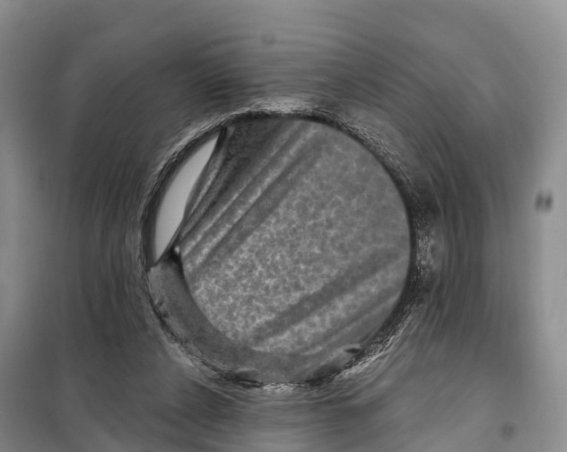 X0000098010256200804251121