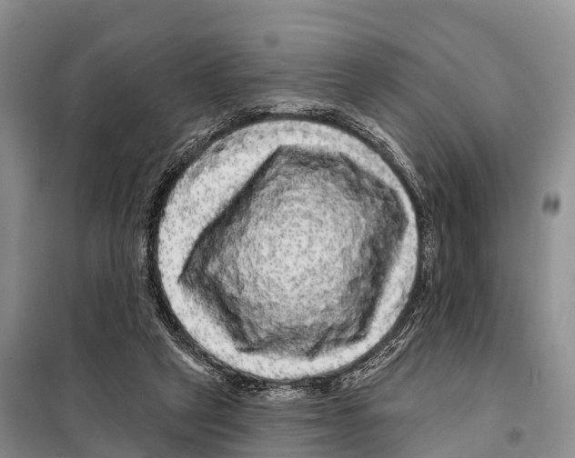 X0000098010257200804251121