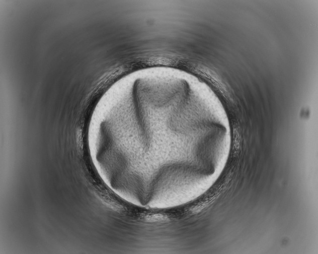 X0000098010258200804251121