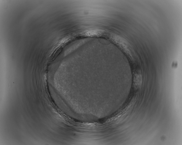 X0000098010260200804251121