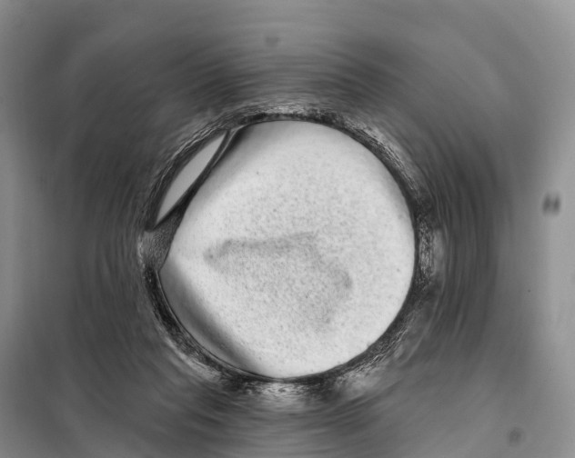 X0000098010261200804251121