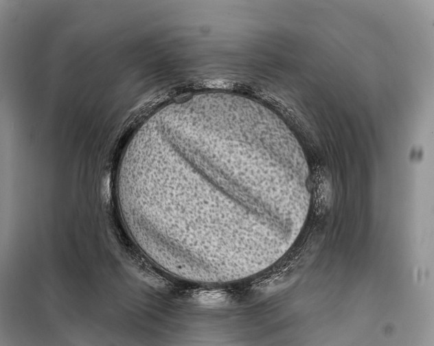 X0000098010262200804251121