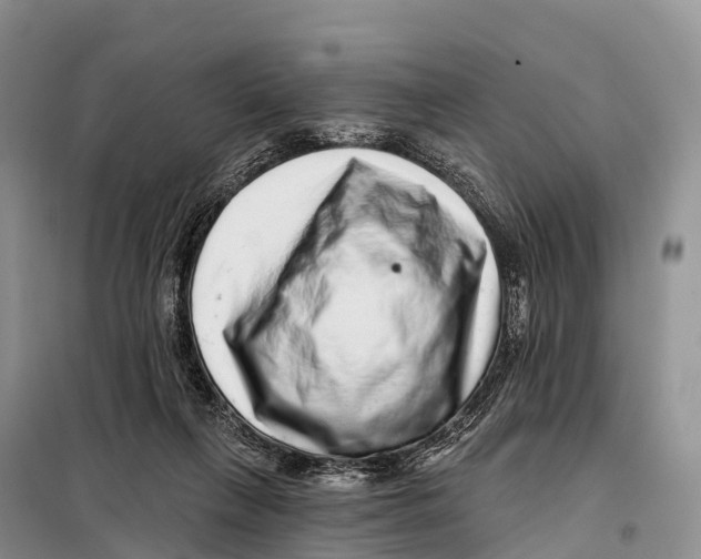 X0000098010263200804251121