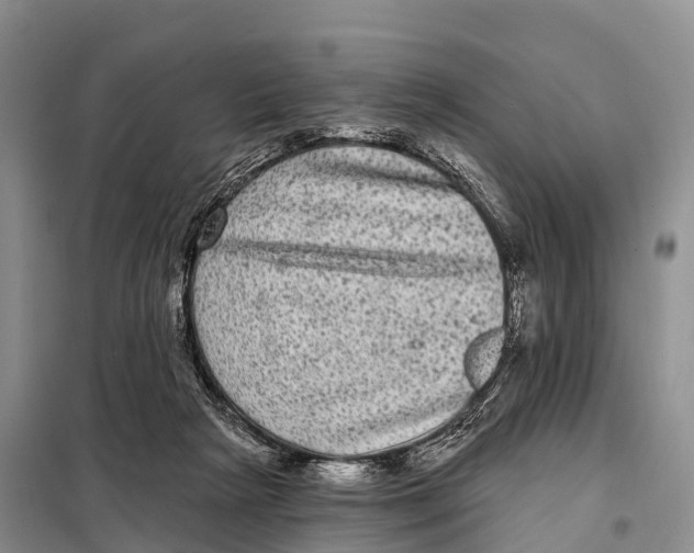X0000098010265200804251121