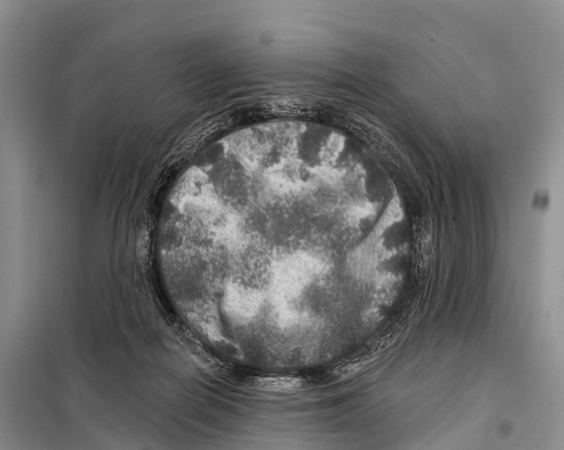 X0000098010266200804251121
