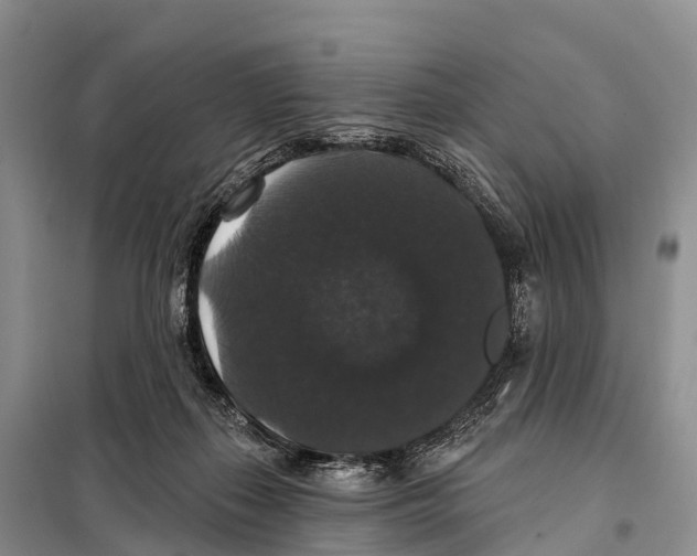 X0000098010267200804251121