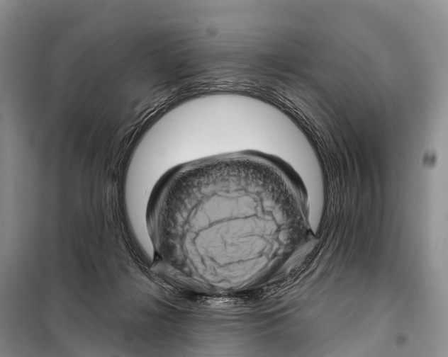 X0000098010268200804251121